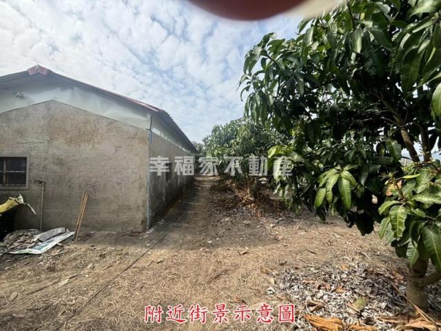 楠西農地-0