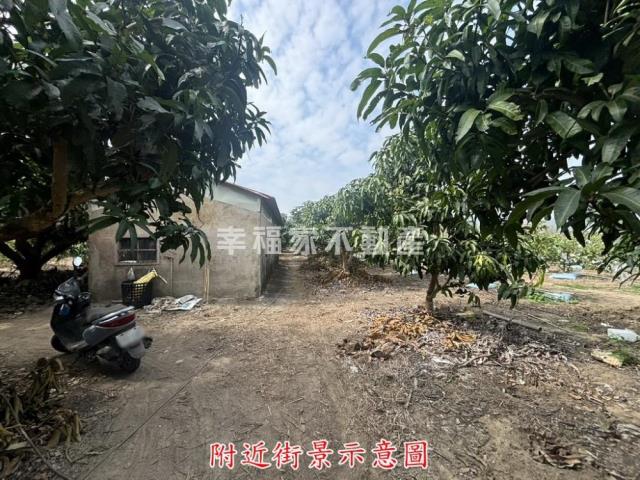 楠西農地-1
