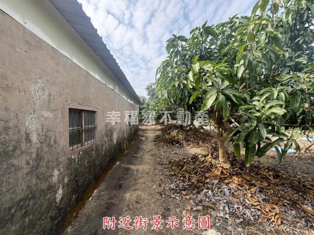 楠西農地-3