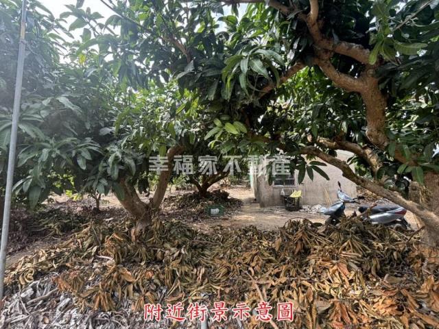 楠西農地-4