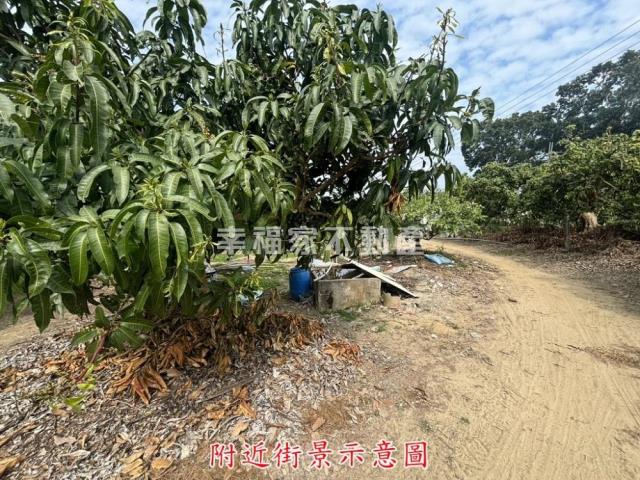 楠西農地-5
