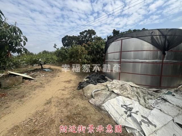 楠西農地-6