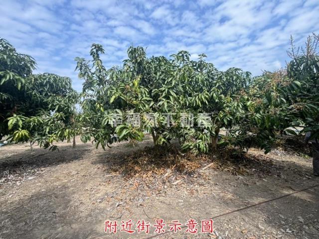 楠西農地-7