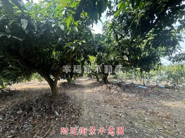 楠西農地-8