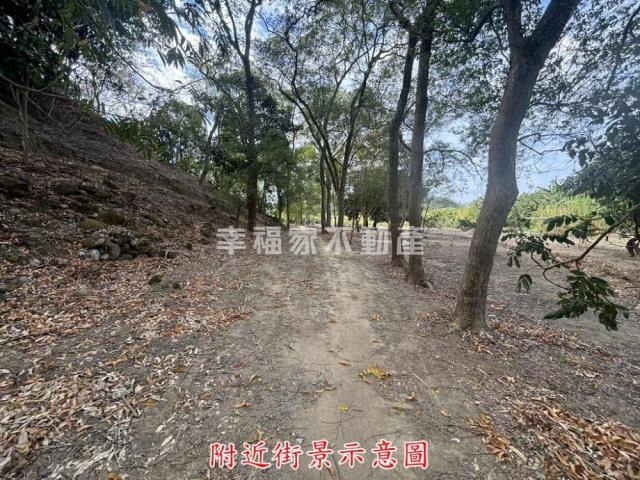 楠西農地-9