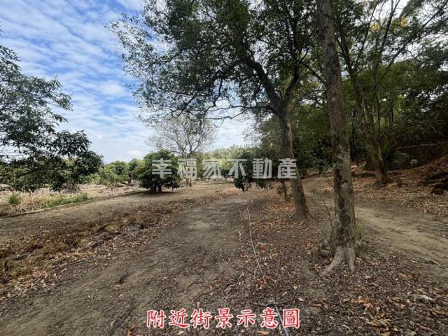 楠西農地-10