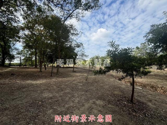 楠西農地-11