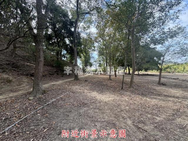 楠西農地-12
