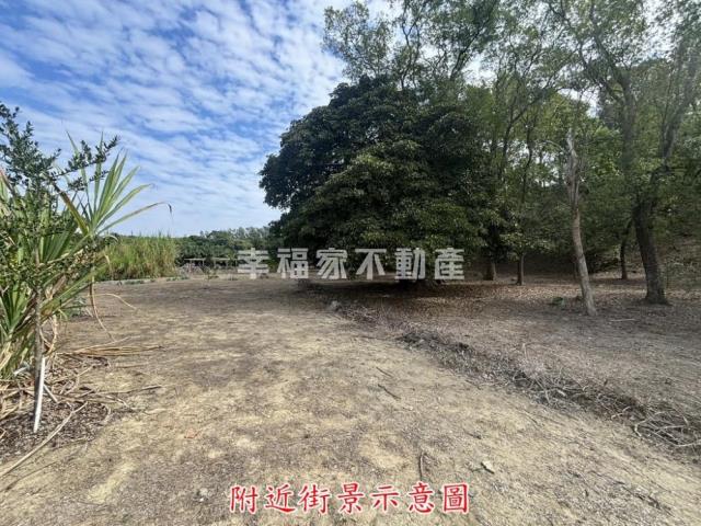 楠西農地-13