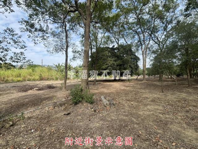楠西農地-14