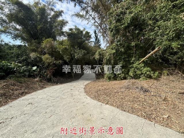 楠西農地-0