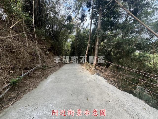 楠西農地-1