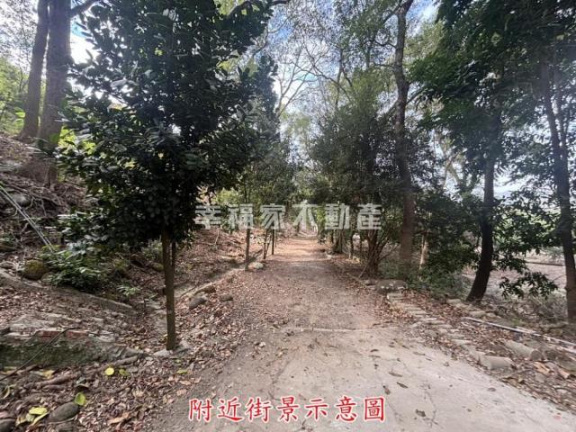 楠西農地-5