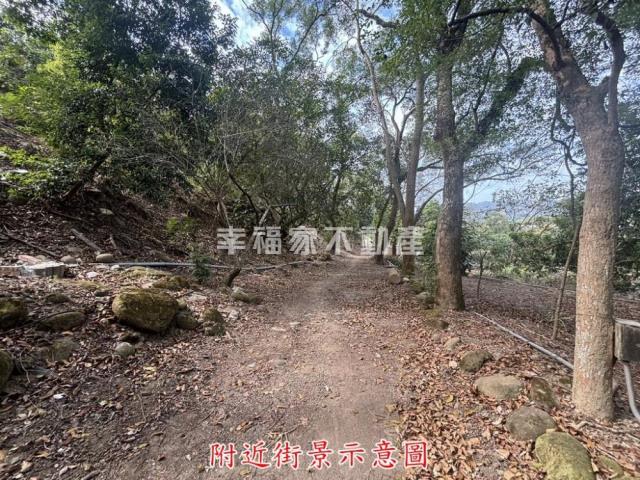 楠西農地-6