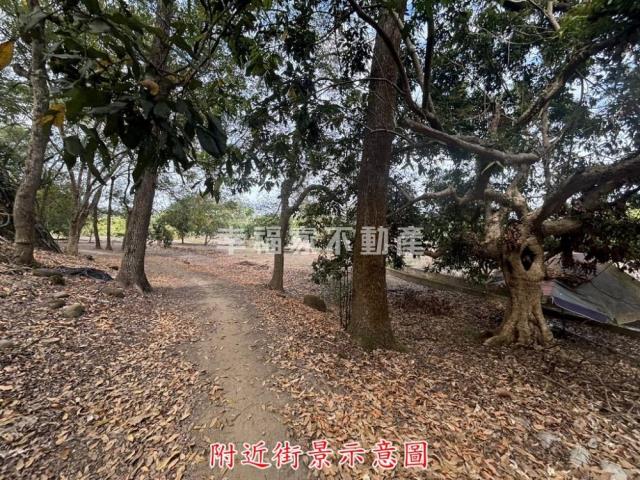 楠西農地-7