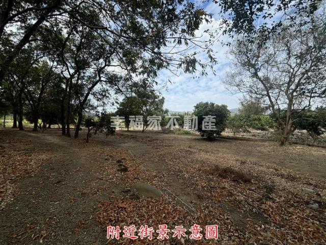 楠西農地-8