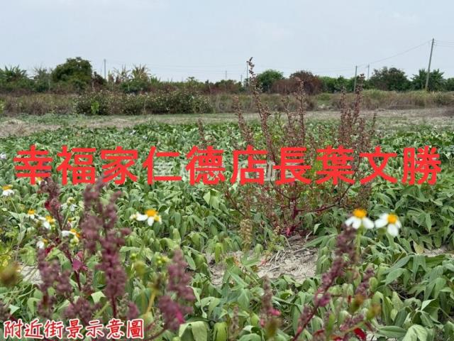 台南農地-10