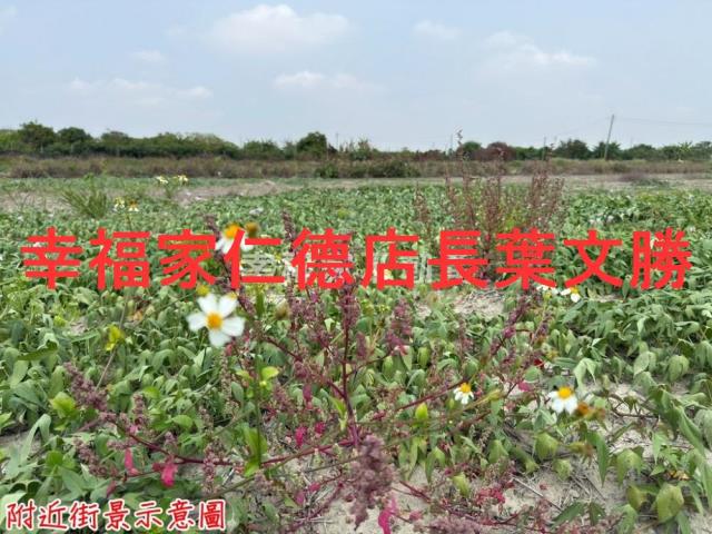 台南農地-0