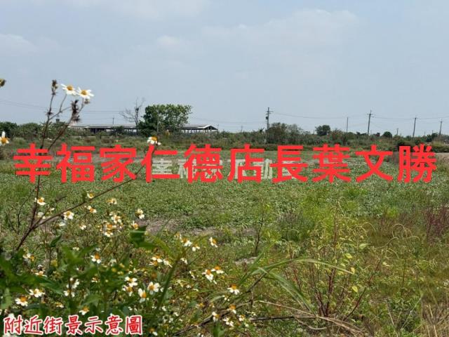 台南農地-7