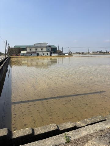 桃園新屋農地-2