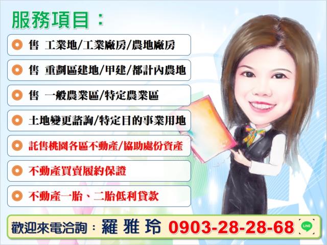 桃園新屋農地-6