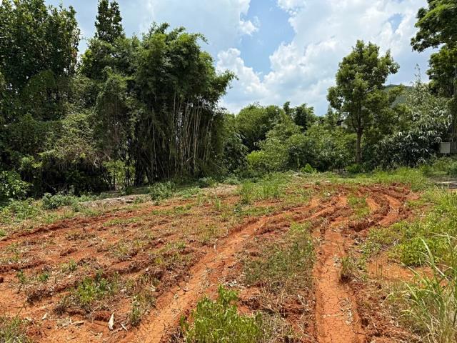 桃園八德農地-1