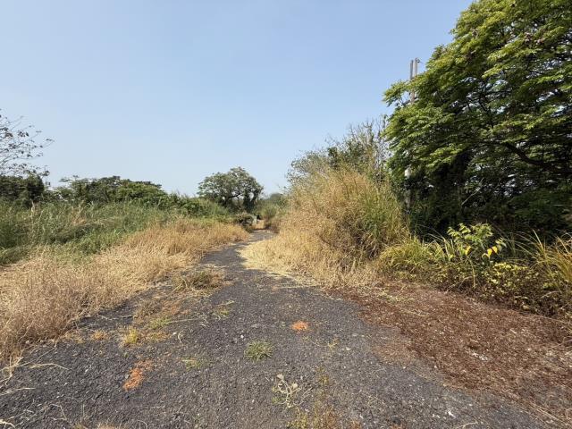 桃園八德農地-1