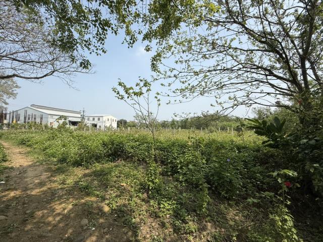 桃園八德農地-2