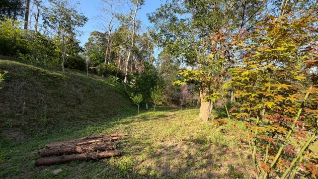 新竹北埔農地-9