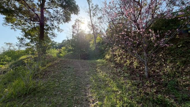 新竹北埔農地-10