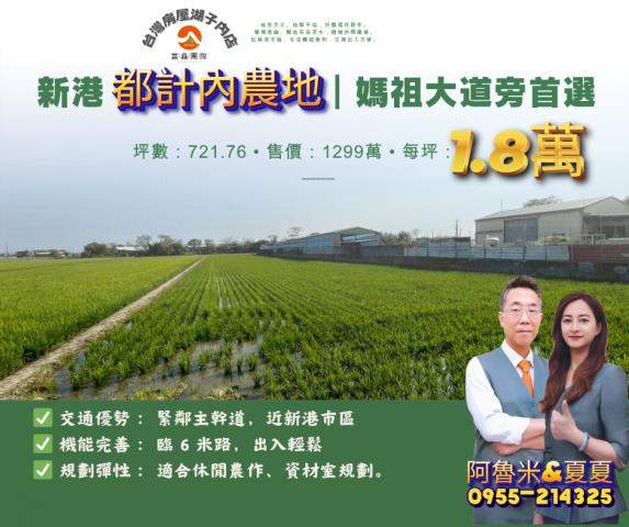 嘉義新港農地-0