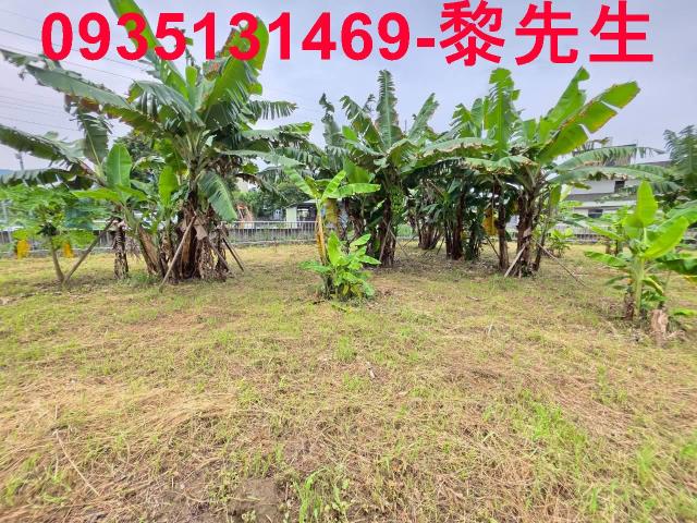 田寮農地田寮土地