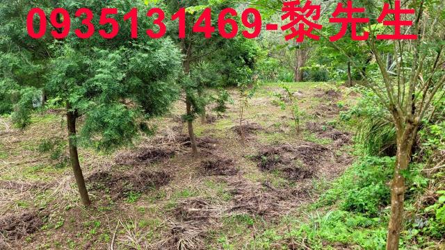 北埔土地北埔農地