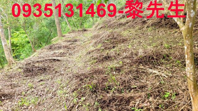 北埔土地北埔農地