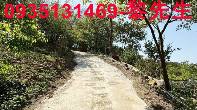 新竹關西農地-3