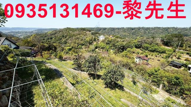 新竹關西農地-4