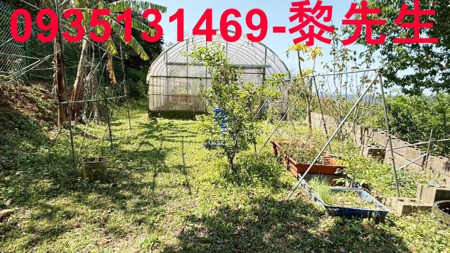 新竹關西農地-4