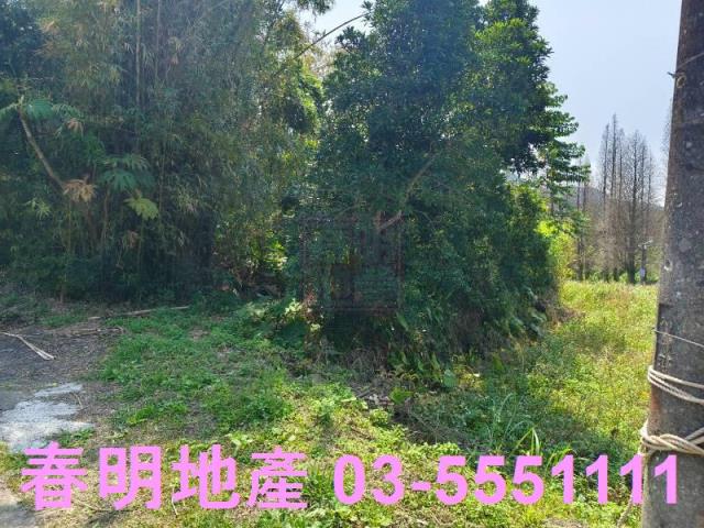 新竹橫山農地-4