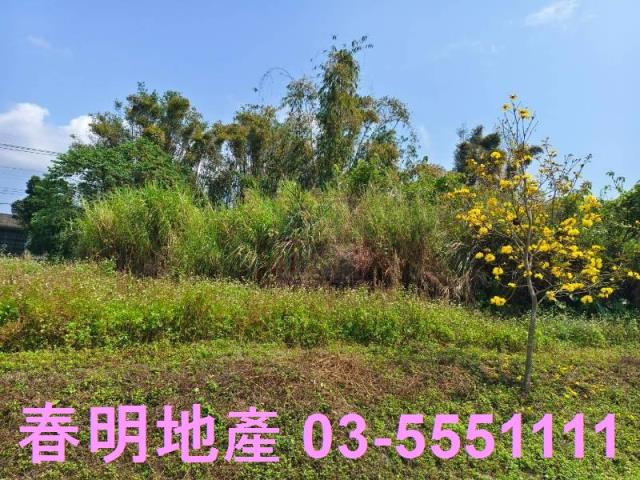 新竹橫山農地-5