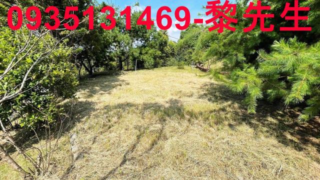 新竹新埔農地-5