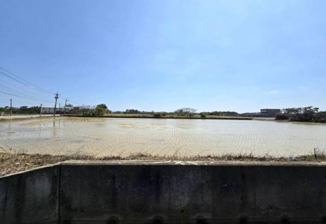 桃園觀音農地-4