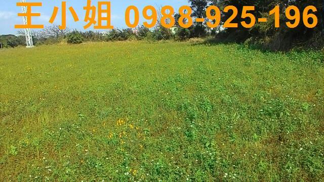 桃園新屋農地-1