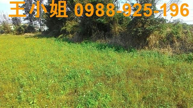 桃園新屋農地-2