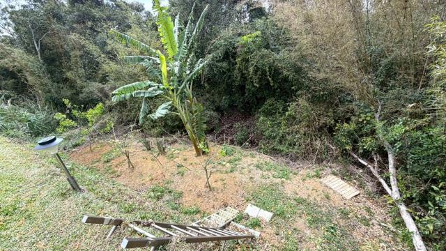 新竹關西農地-10