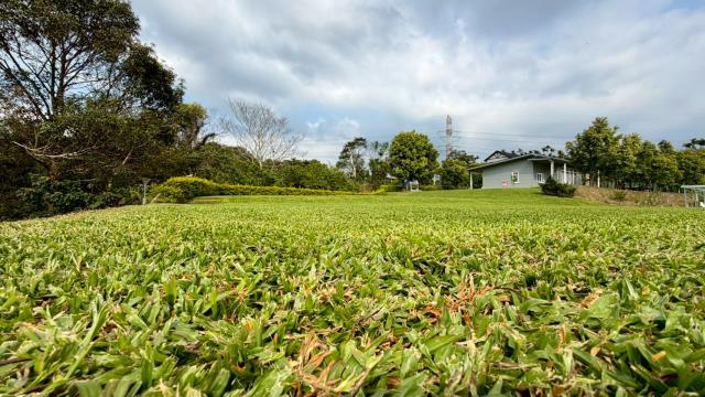 新竹關西農地-0