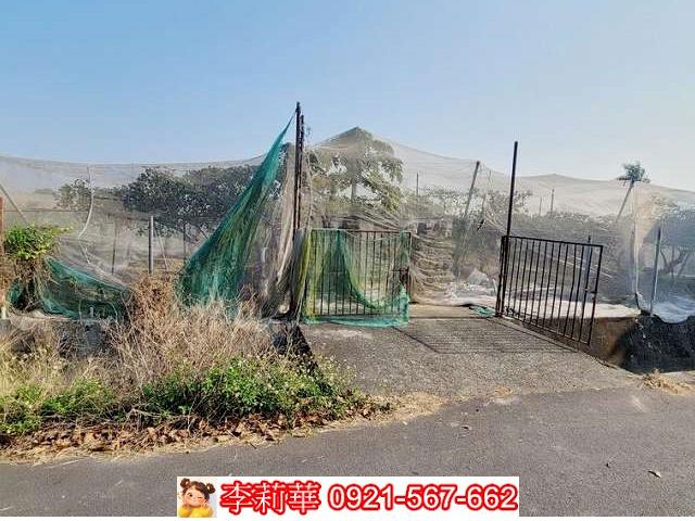 高雄燕巢農地-3