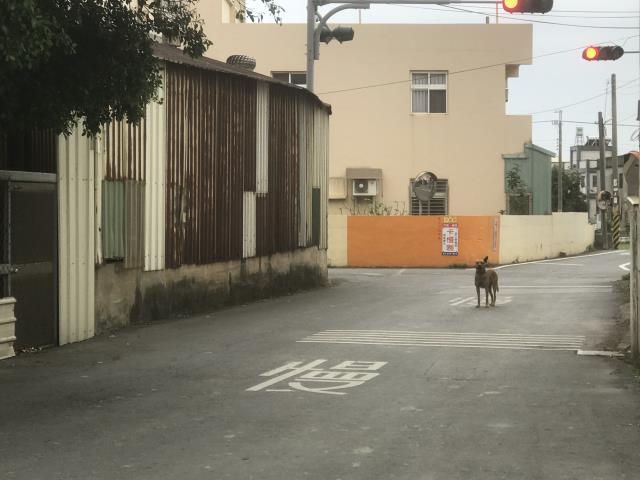 彰化彰化市農地-4