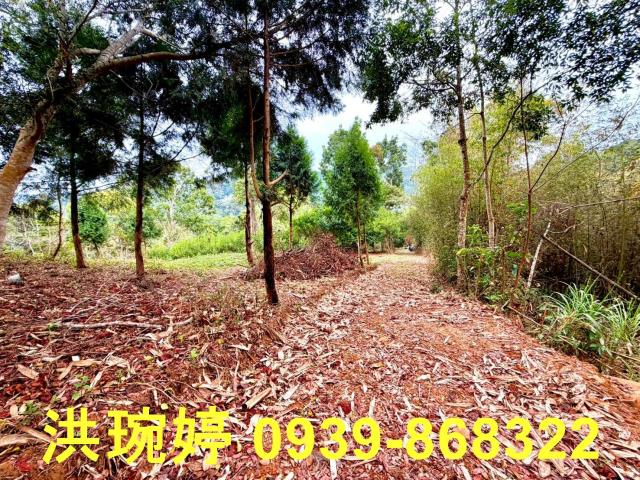 國姓農地國姓土地國姓休閒地南投土地南投農地南投休閒地