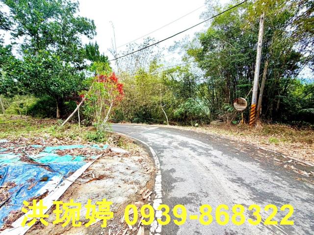 南投國姓農地-1