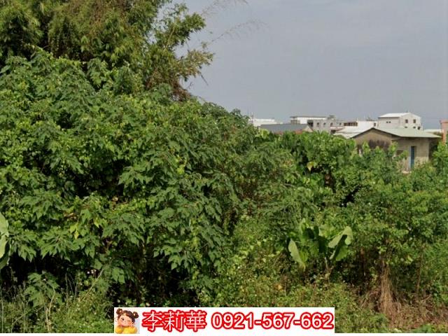 台南下營建地-5